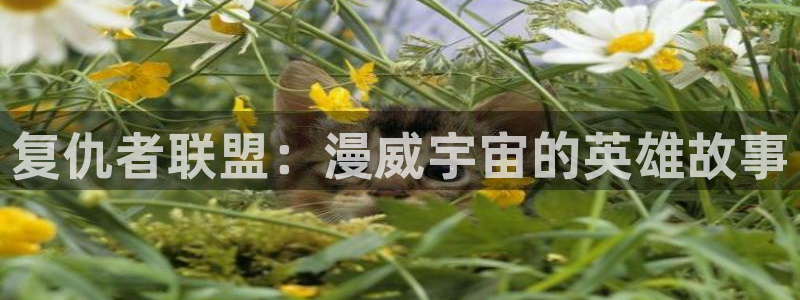 再漫画吧：复仇者联盟：漫威宇宙的英雄故事